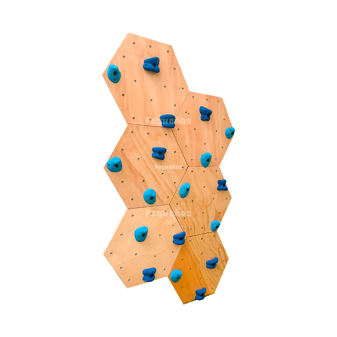 Palestra Hexagonal