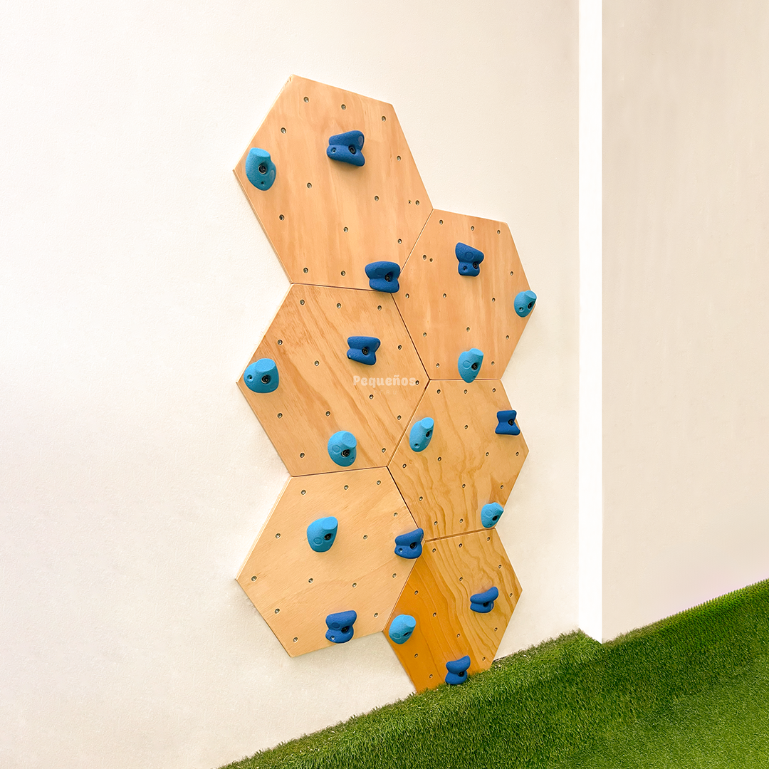 Palestra Hexagonal